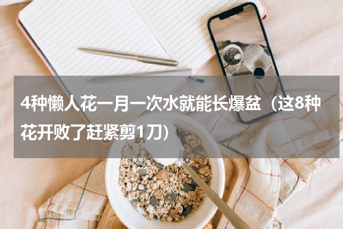 4种懒人花一月一次水就能长爆盆（这8种花开败了赶紧剪1刀）