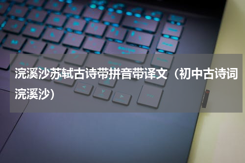 浣溪沙苏轼古诗带拼音带译文（初中古诗词浣溪沙）