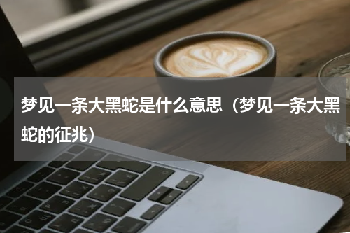 梦见一条大黑蛇是什么意思（梦见一条大黑蛇的征兆）