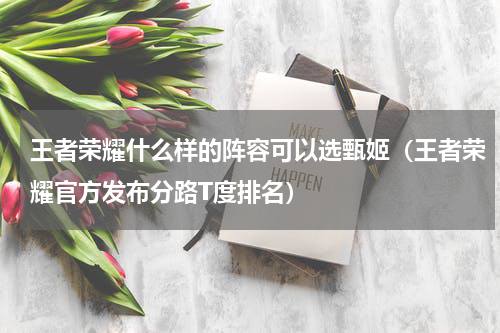 王者荣耀什么样的阵容可以选甄姬（王者荣耀官方发布分路T度排名）