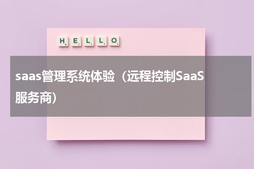 saas管理系统体验（远程控制SaaS服务商）