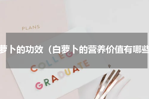 白萝卜的功效（白萝卜的营养价值有哪些）