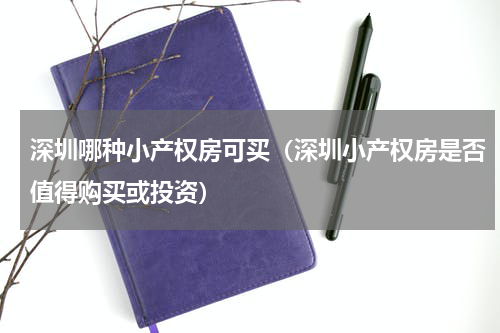 深圳哪种小产权房可买（深圳小产权房是否值得购买或投资）