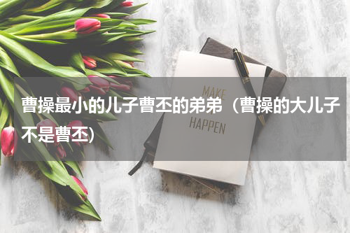 曹操最小的儿子曹丕的弟弟（曹操的大儿子不是曹丕）