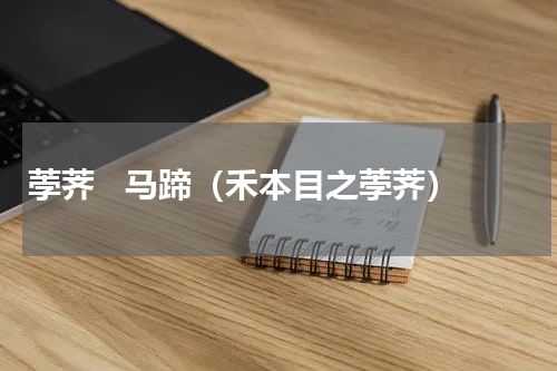 荸荠   马蹄（禾本目之荸荠）