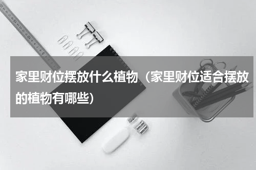 家里财位摆放什么植物（家里财位适合摆放的植物有哪些）