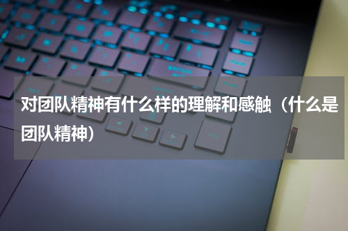 对团队精神有什么样的理解和感触（什么是团队精神）