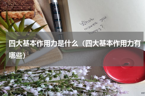 四大基本作用力是什么（四大基本作用力有哪些）