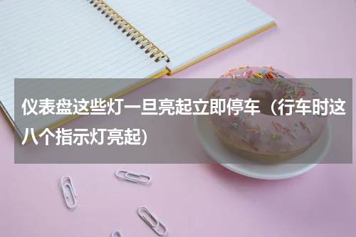 仪表盘这些灯一旦亮起立即停车（行车时这八个指示灯亮起）