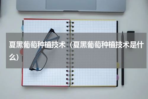 夏黑葡萄种植技术（夏黑葡萄种植技术是什么）