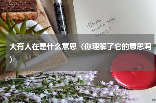 大有人在是什么意思（你理解了它的意思吗）