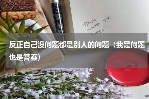 反正自己没问题都是别人的问题（我是问题也是答案）