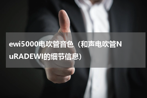 ewi5000电吹管音色（和声电吹管NuRADEWI的细节信息）