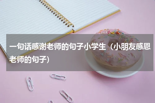 一句话感谢老师的句子小学生（小朋友感恩老师的句子）