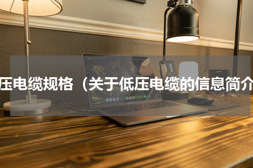 低压电缆规格（关于低压电缆的信息简介）