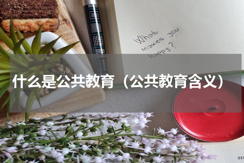 什么是公共教育（公共教育含义）