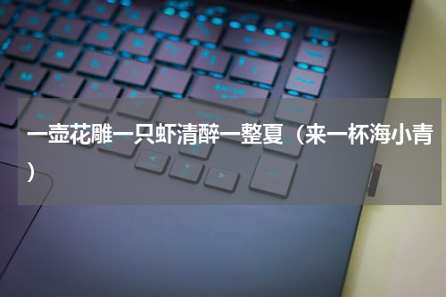 一壶花雕一只虾清醉一整夏（来一杯海小青）