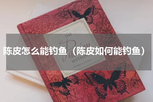 陈皮怎么能钓鱼（陈皮如何能钓鱼）