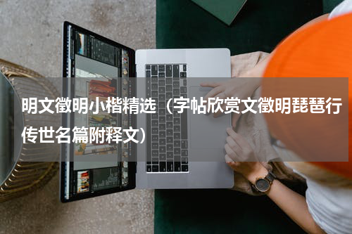 明文徵明小楷精选（字帖欣赏文徵明琵琶行传世名篇附释文）