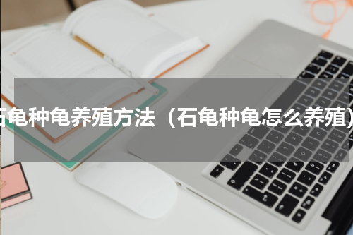 石龟种龟养殖方法（石龟种龟怎么养殖）