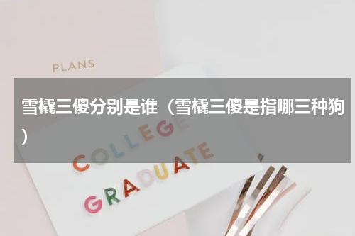 雪橇三傻分别是谁（雪橇三傻是指哪三种狗）