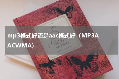 mp3格式好还是aac格式好（MP3AACWMA）