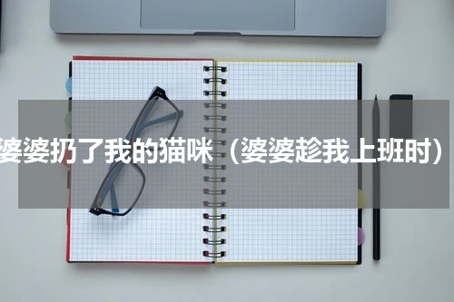 婆婆扔了我的猫咪（婆婆趁我上班时）