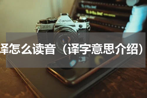 译怎么读音（译字意思介绍）