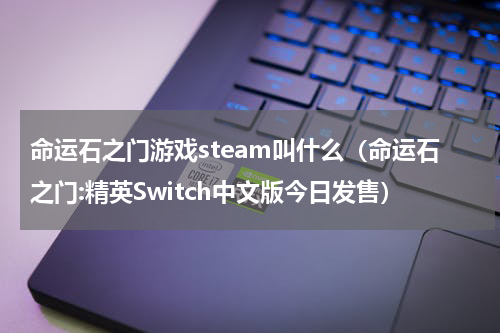 命运石之门游戏steam叫什么（命运石之门:精英Switch中文版今日发售）