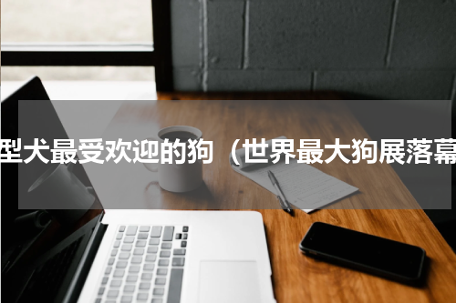 中型犬最受欢迎的狗（世界最大狗展落幕）