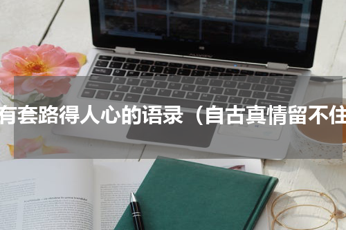 唯有套路得人心的语录（自古真情留不住）