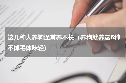 这几种人养狗通常养不长（养狗就养这6种不掉毛体味轻）