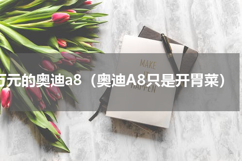 6万元的奥迪a8（奥迪A8只是开胃菜）