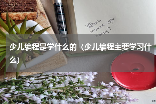 少儿编程是学什么的（少儿编程主要学习什么）