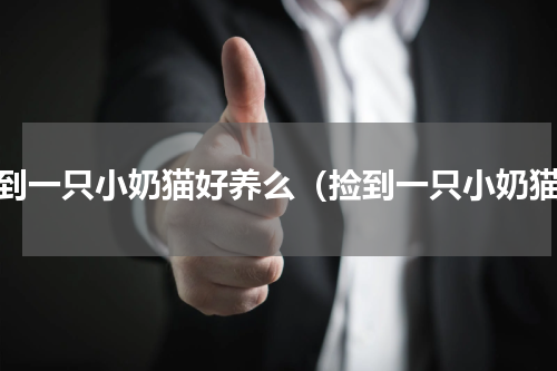 捡到一只小奶猫好养么（捡到一只小奶猫）