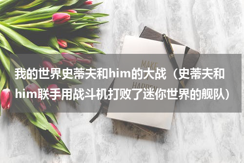 我的世界史蒂夫和him的大战（史蒂夫和him联手用战斗机打败了迷你世界的舰队）