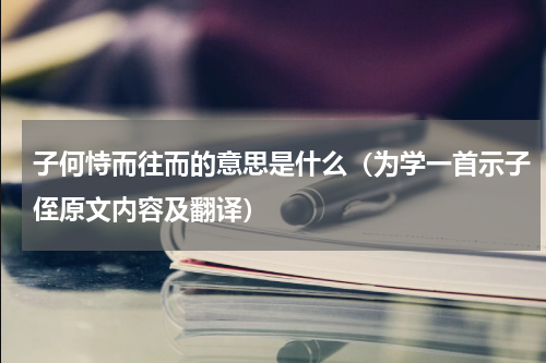 子何恃而往而的意思是什么（为学一首示子侄原文内容及翻译）