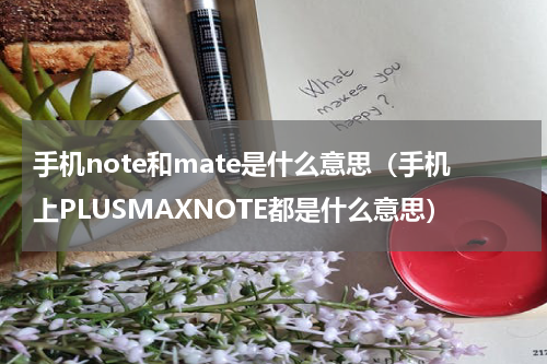 手机note和mate是什么意思（手机上PLUSMAXNOTE都是什么意思）