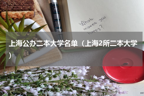 上海公办二本大学名单（上海2所二本大学）