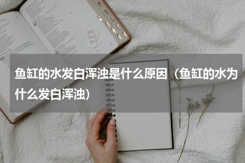 鱼缸的水发白浑浊是什么原因（鱼缸的水为什么发白浑浊）