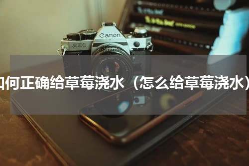 如何正确给草莓浇水（怎么给草莓浇水）