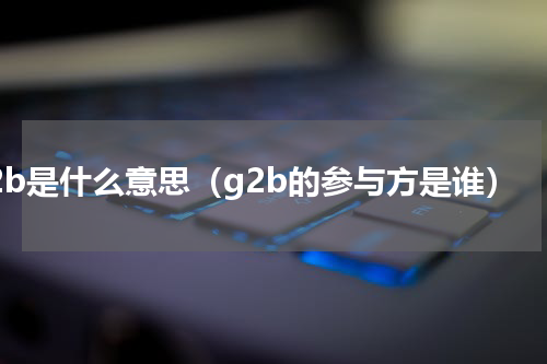 g2b是什么意思（g2b的参与方是谁）