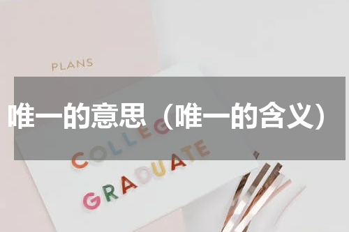 唯一的意思（唯一的含义）
