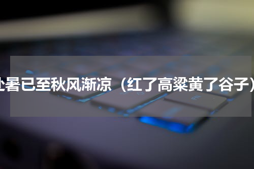 处暑已至秋风渐凉（红了高粱黄了谷子）