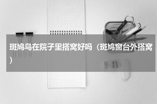 斑鸠鸟在院子里搭窝好吗（斑鸠窗台外搭窝）