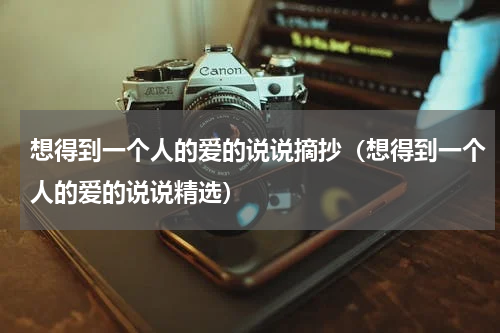 想得到一个人的爱的说说摘抄（想得到一个人的爱的说说精选）