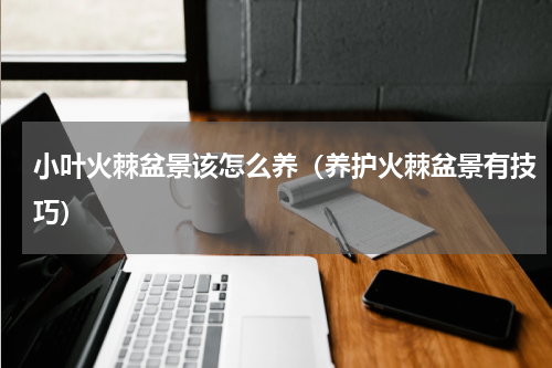 小叶火棘盆景该怎么养（养护火棘盆景有技巧）