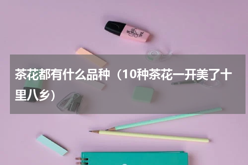 茶花都有什么品种（10种茶花一开美了十里八乡）