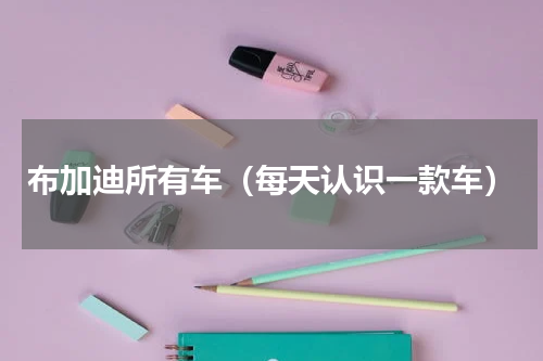 布加迪所有车（每天认识一款车）