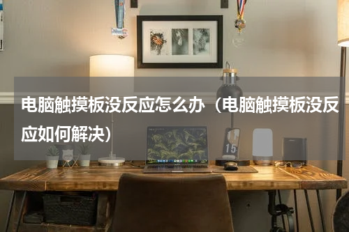 电脑触摸板没反应怎么办（电脑触摸板没反应如何解决）